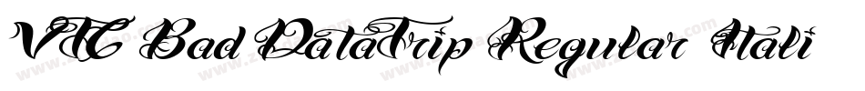 VTC Bad DataTrip Regular Italic字体转换